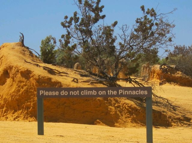 ❤️discover the Pinnacles desert discovery❤️