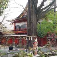 賞櫻 賞景 賞文化 東京近郊秩父神社