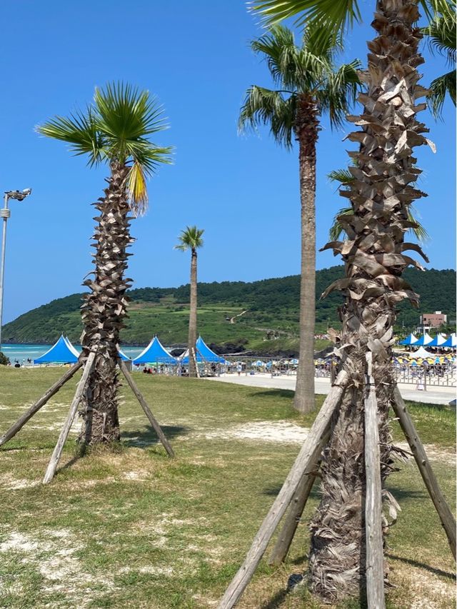 제주에서 가장 해외 같은 곳! ‘함덕해수욕장’ 을 소개합니다~!!!🌊💙