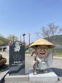 튤립과 벚꽃의 콜라보, 옥연지 송해공원🌸🌷