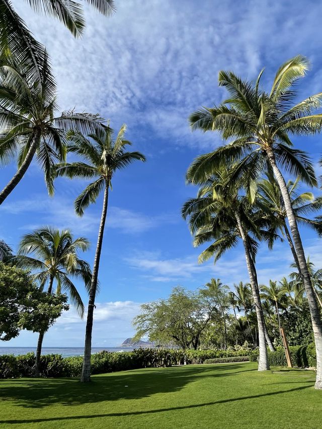 하와이는 와이키키만 유명한 게 아니야〰코올리나 비치파크🌴🍃