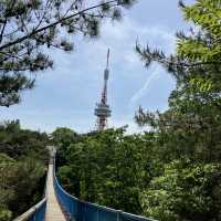 四季様々な顔を見せる　宇都宮　八幡山公園