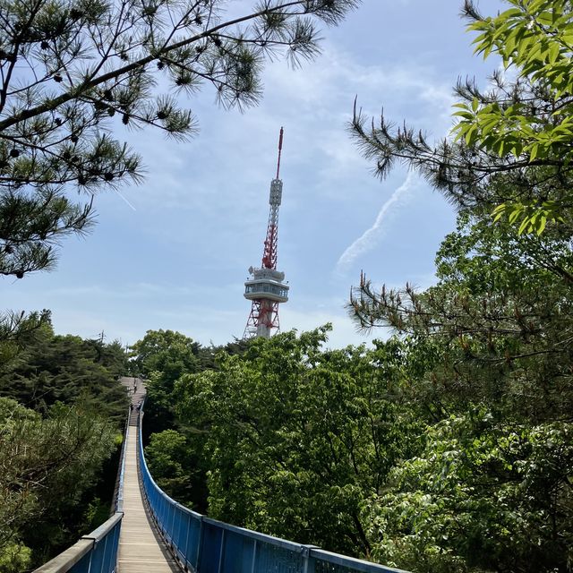 四季様々な顔を見せる　宇都宮　八幡山公園