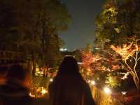 知恩院—紅葉夜之美