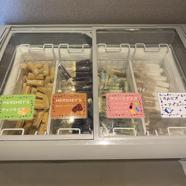 福井県「ドーミーイン福井」もバイキング美味しくて間違いなかった