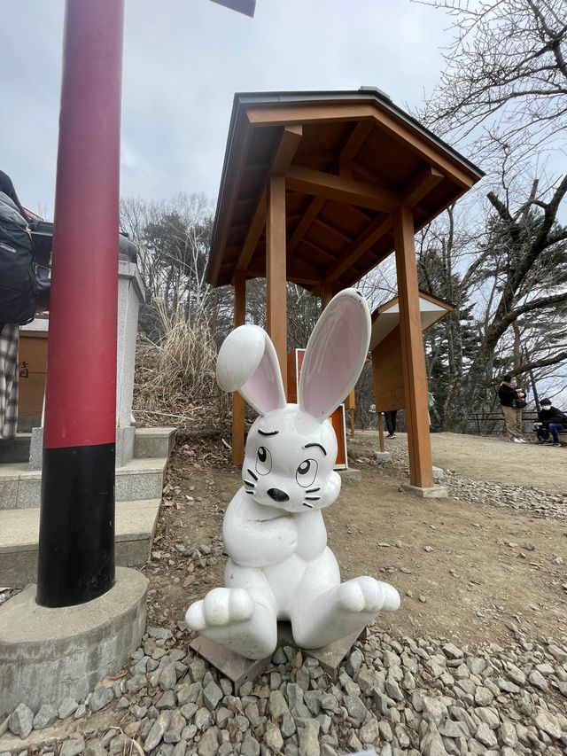 【世界遺産】富士山の麓で神秘的な世界🗻