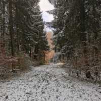 ❄️Hiking near Hohenzollern Castle 🏰