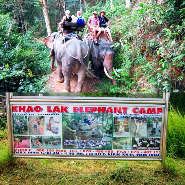 Wonderful Day Out at Phuket Elephant Sanctuary