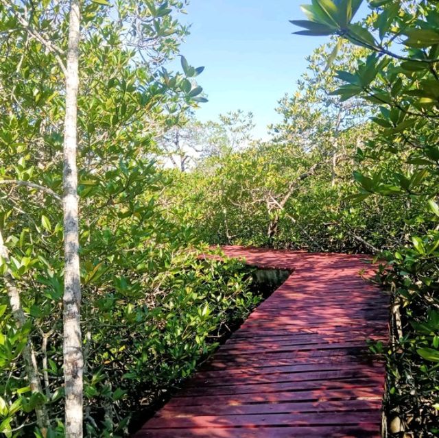 #สะพานแดง ป่าชายเลนบ้านสลักเพชร