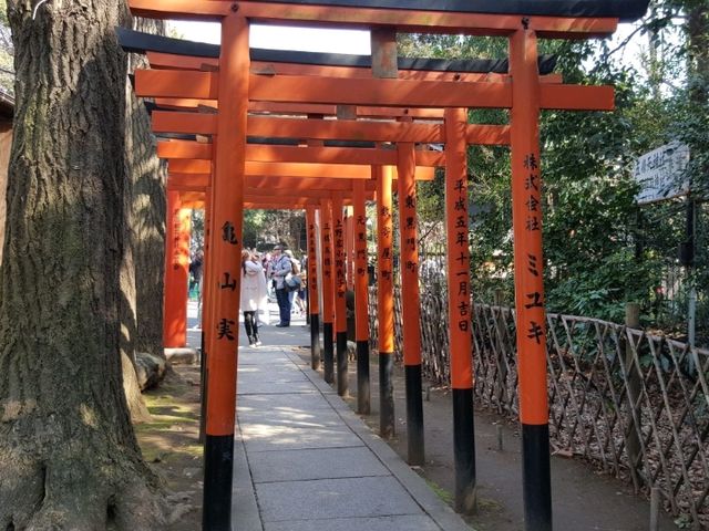 Hanazono Inari Shrine at Ueno Park
