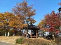 Hiking to Namsan Tower 🗺️🗼