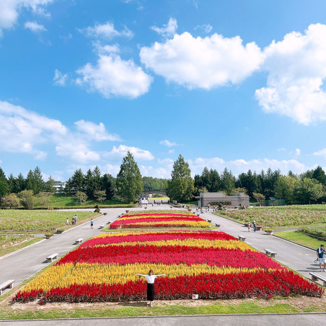 広島県　庄原市　国営備北丘陵公園