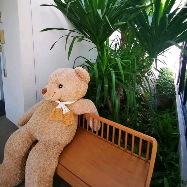 โรงแรมมินิมอล ANG PAO Hotel @ ภูเก็ต