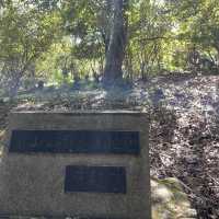 【ペットとお出かけ】嵐山公園をお散歩！