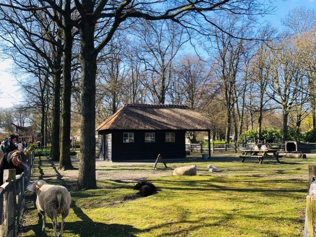 荷蘭🇳🇱盧瑟Lisse·親子好去處🐑🌳庫肯霍夫花園Keukenhof Garden