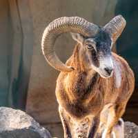 え！？無料の動物園！？