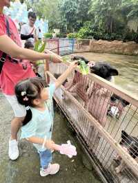 深圳親子遊 逛超大動物園
