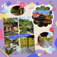 京都南禪寺🙏🏻禪修之旅中的和諧花園 🍵🌸