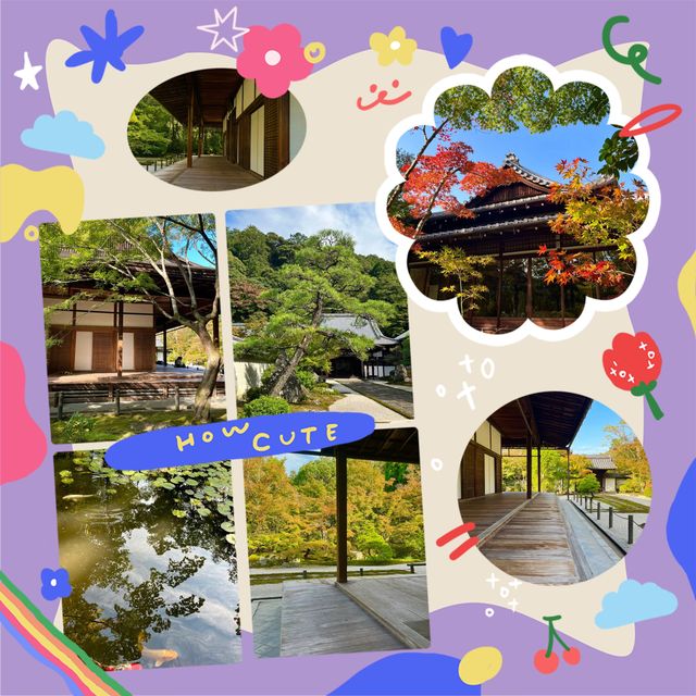 京都南禪寺🙏🏻禪修之旅中的和諧花園 🍵🌸