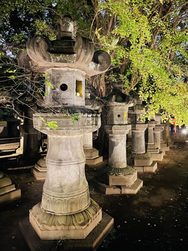 【東京都/上野東照宮】夢叶う光の夜