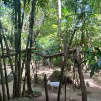 Khao Kheow open Zoo 