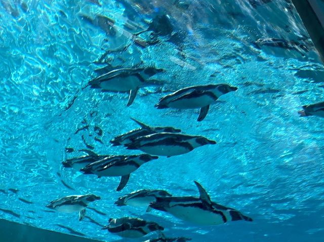 破格の600円で楽しめる動植物園！