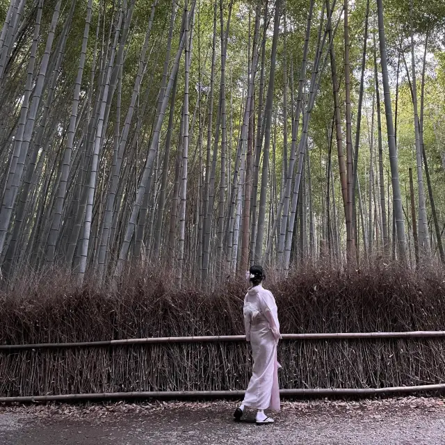 아라시야마 기모노 여행 : 대나무 숲 치쿠린 🎋