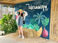  ไร่เกษมสุข🌱เกษตรอินทรีย์กุยบุรี 🥬🍅🌽