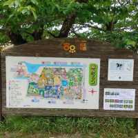 キリンを上からも下からも観察できる　京都市動物園