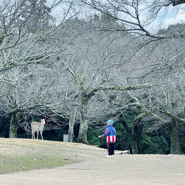 若草山