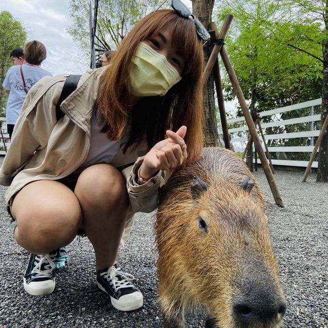 宜蘭 張美阿嬤農場