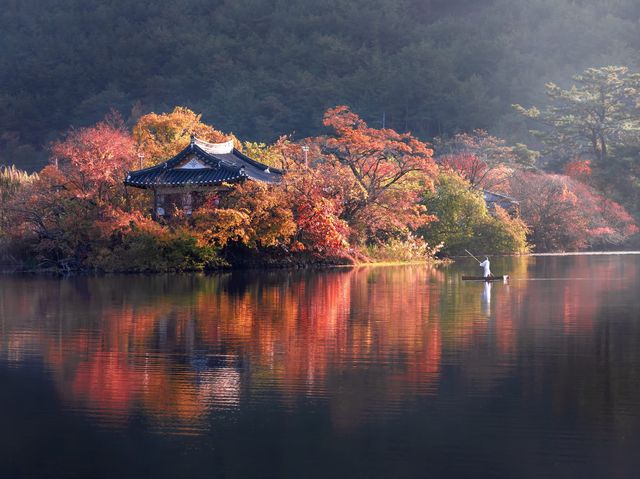 Busan Autumn