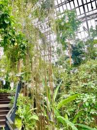 충남 서천 국립생태원🌱