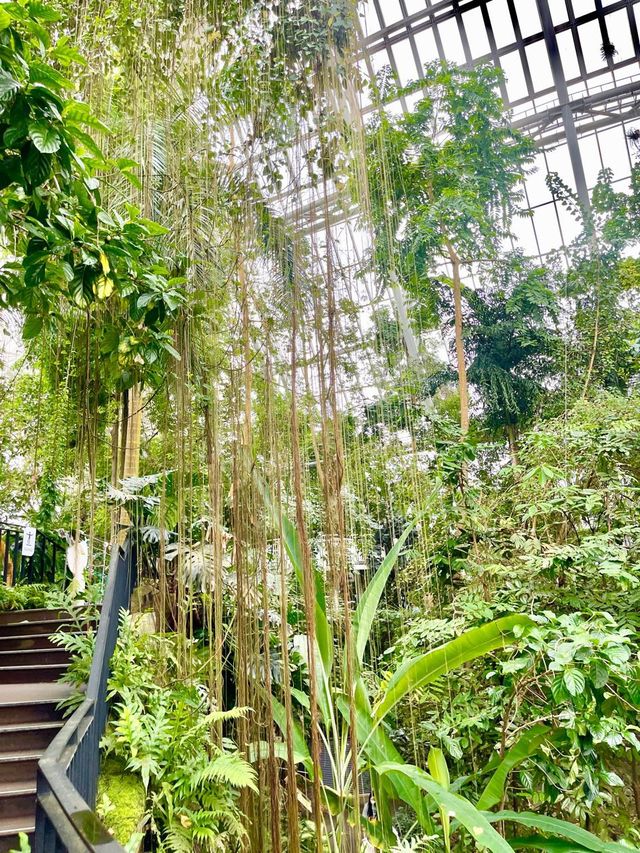 충남 서천 국립생태원🌱