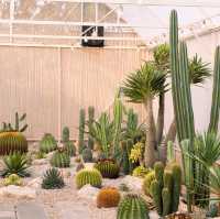 Chan nature cafe’