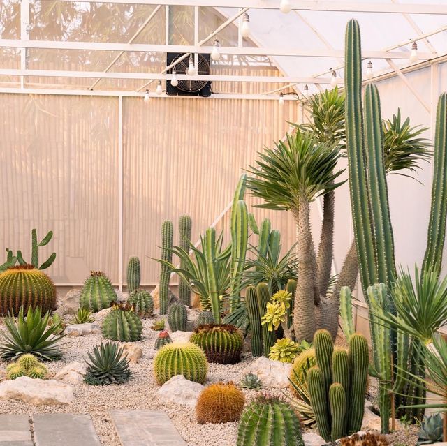 Chan nature cafe’