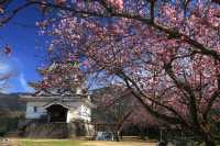 日本12座現存天守的城堡之一四國宇和島城
