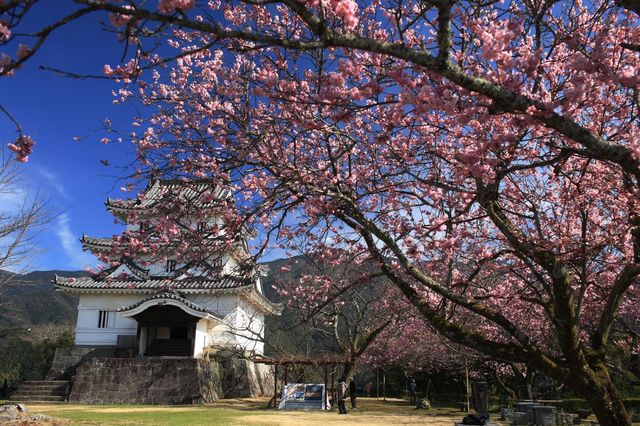 日本12座現存天守的城堡之一四國宇和島城