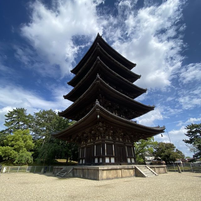名勝「奈良公園」観光客で賑わい鹿は元気でした