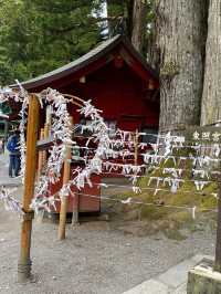 日光二荒山神社⛩️東京出發一日遊推薦☺️日光古蹟欣賞