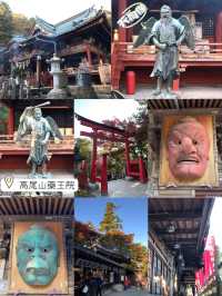 東京市內必去🤪高尾山藥王院😚一日遊推薦😎親子遊最佳景點