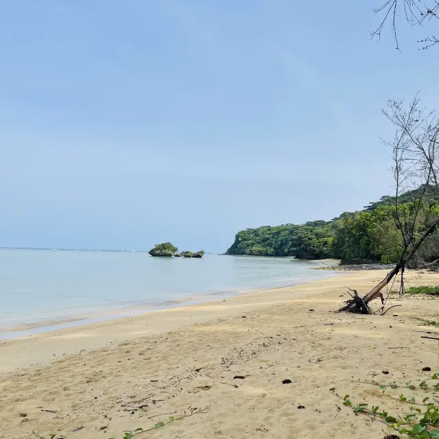 Kuganipi Beachside Inn Iriomote 目の前のビーチ！