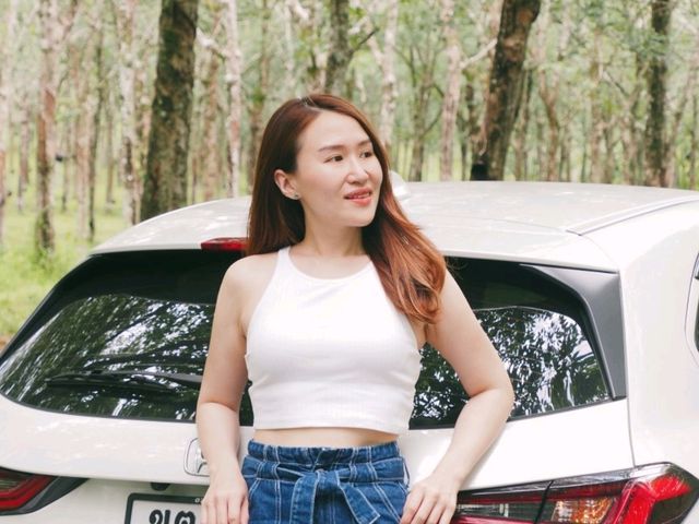 อุโมงค์ต้นยางพารา จ.ภูเก็ต