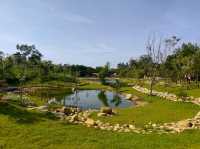 桃園景點_大湳森林公園