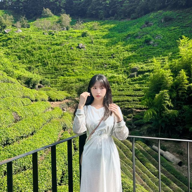 온 세상 초록 빛을 즐길 수 있는 카페 💚