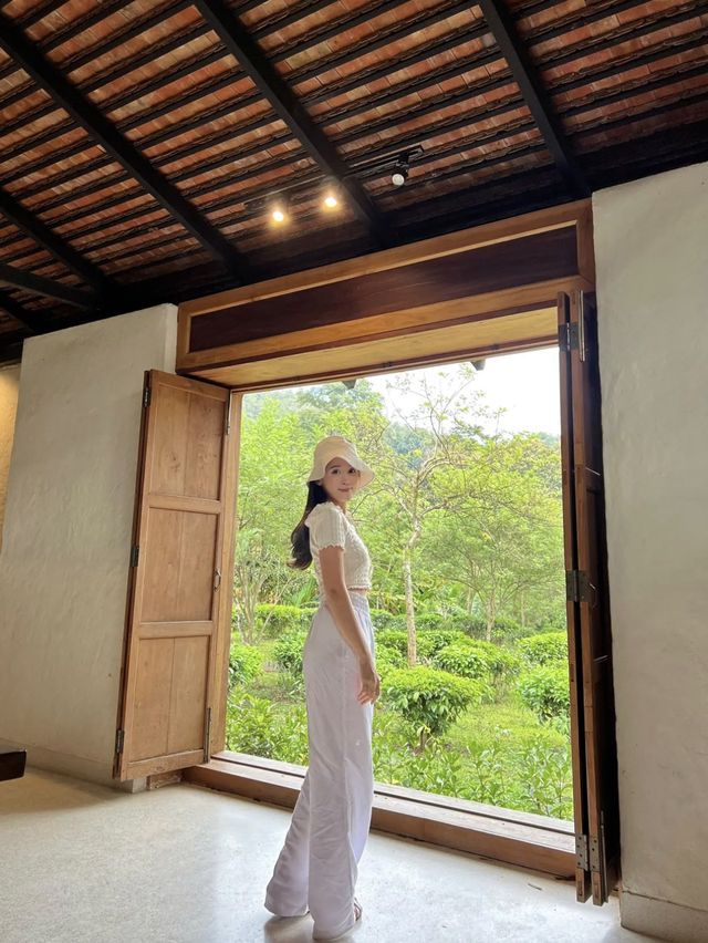Araksa Tea Garden | Chiang Mai🌿