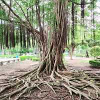 สวนสาธารณะ​พนัสนิคม