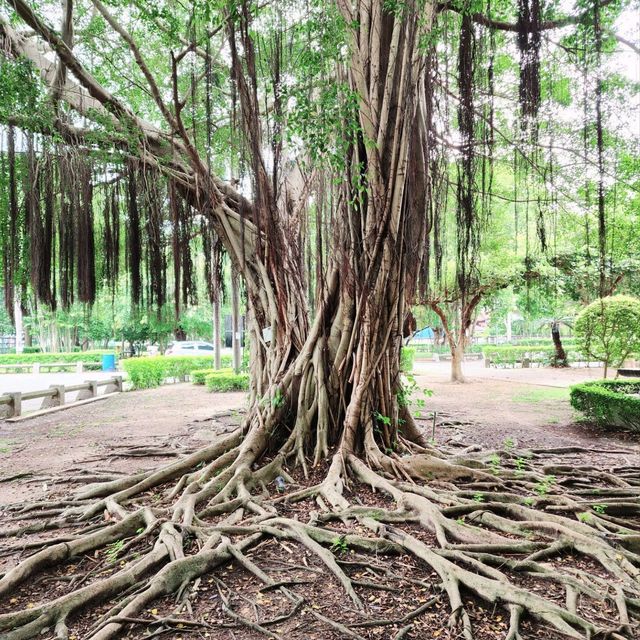 สวนสาธารณะ​พนัสนิคม