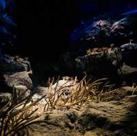 พิพิธภัณฑ์สัตว์น้ำท่าเรือนาโกย่า 名古屋港水族館