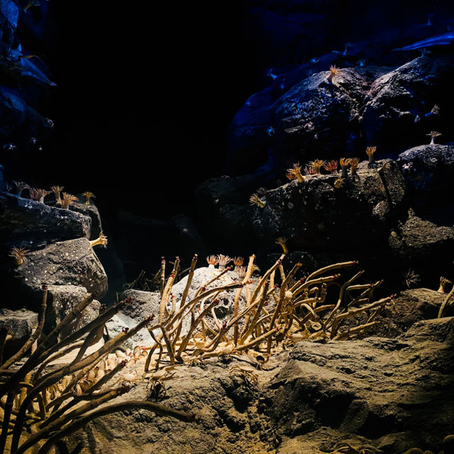 พิพิธภัณฑ์สัตว์น้ำท่าเรือนาโกย่า 名古屋港水族館